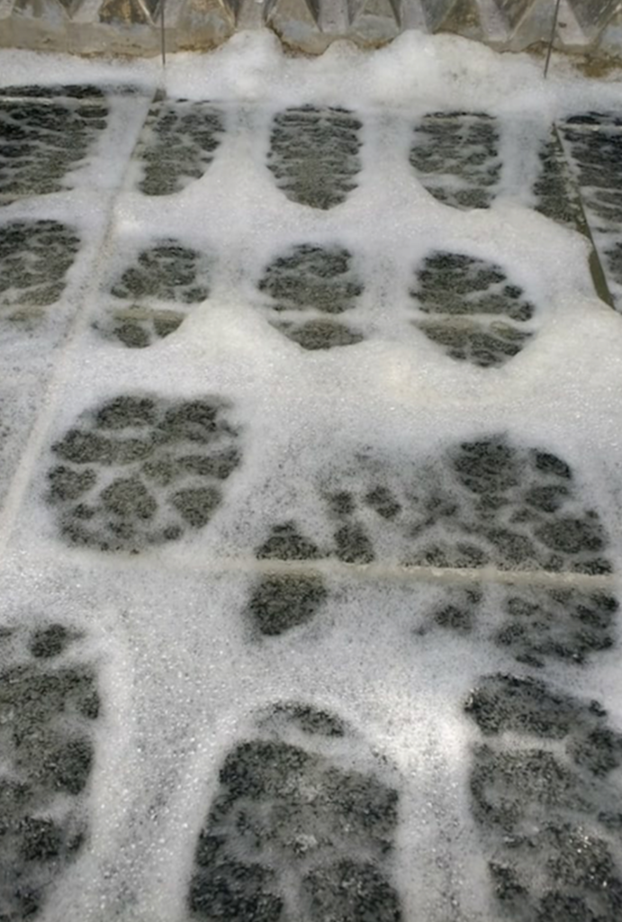 Tratamiento de Aguas Claras